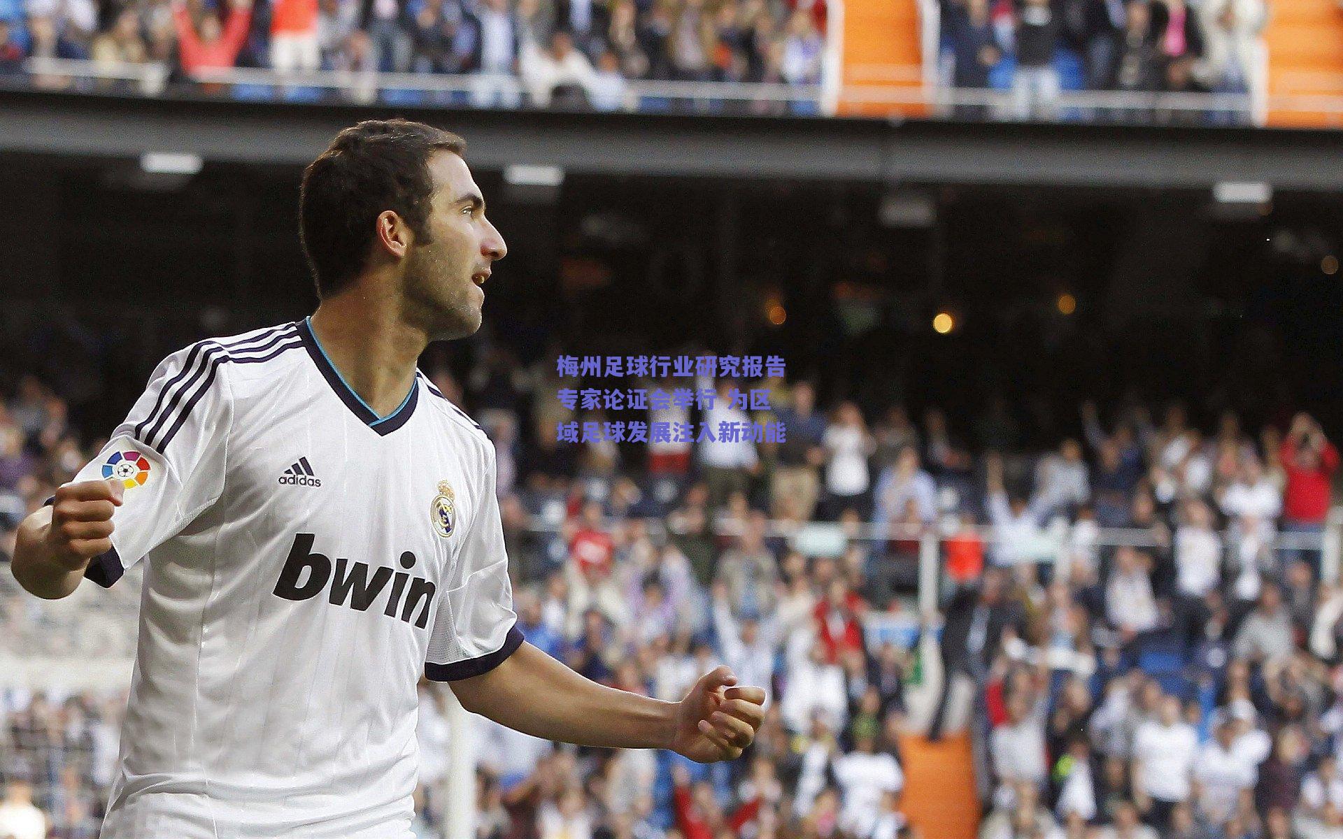 梅州足球行业研究报告专家论证会举行 为区域足球发展注入新动能